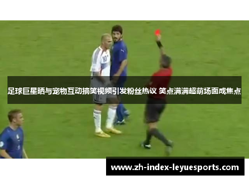 足球巨星晒与宠物互动搞笑视频引发粉丝热议 笑点满满超萌场面成焦点
