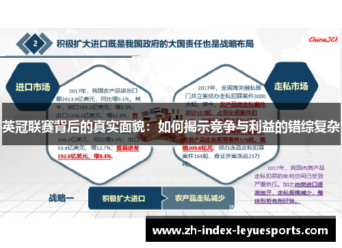 英冠联赛背后的真实面貌:如何揭示竞争与利益的错综复杂 英冠联赛背后的真实面貌:如何揭示竞争与利益的错综复杂