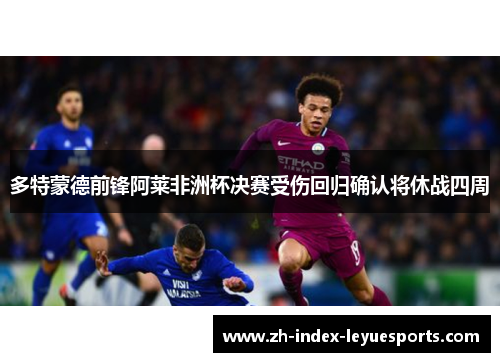 多特蒙德前锋阿莱非洲杯决赛受伤回归确认将休战四周