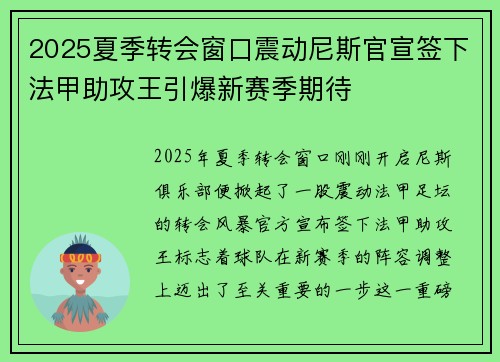 2025夏季转会窗口震动尼斯官宣签下法甲助攻王引爆新赛季期待